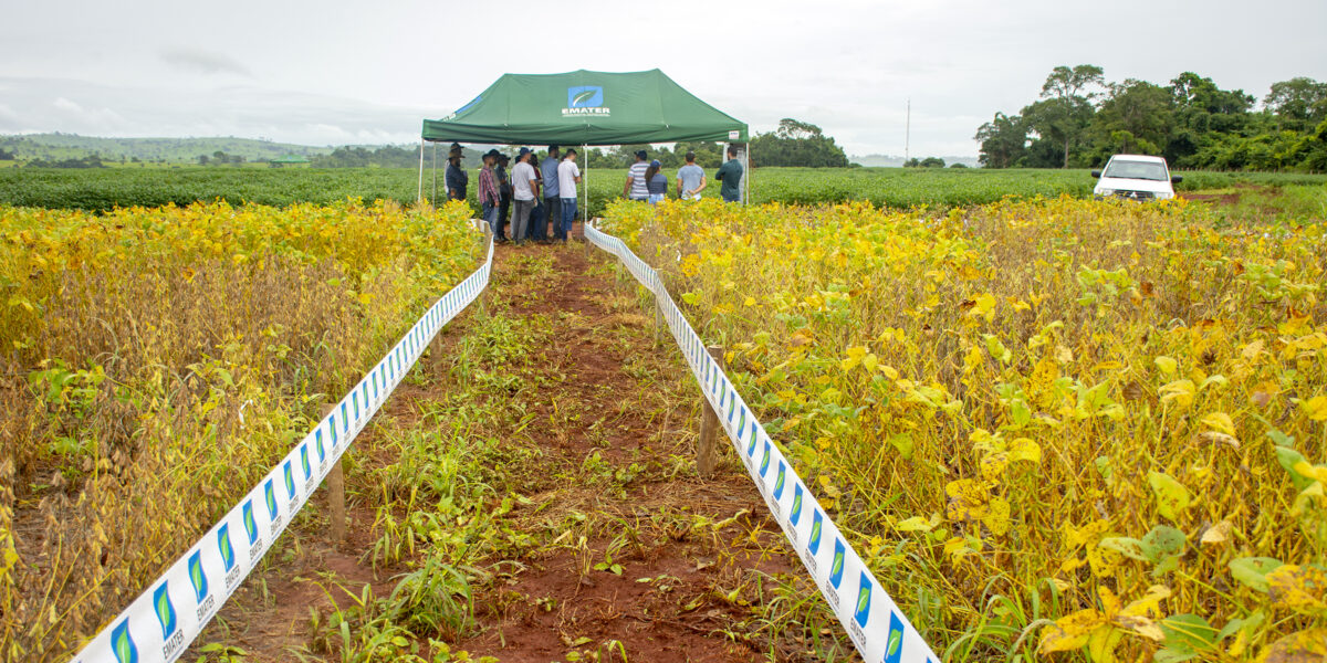 Dia de Campo em Estação Experimental da Emater em Araçu tem novas datas
