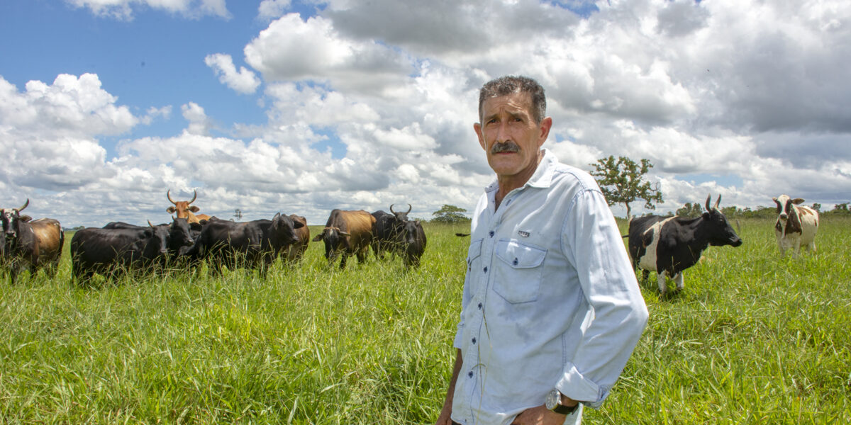 Após pastejo rotacionado, produção de leite cresce 30% por área em propriedade assistida pela Emater