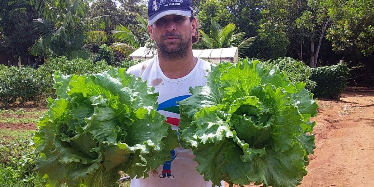 Emater mobiliza pequenos produtores de Uruana a iniciarem serviço de delivery como alternativa à suspensão de feiras livres