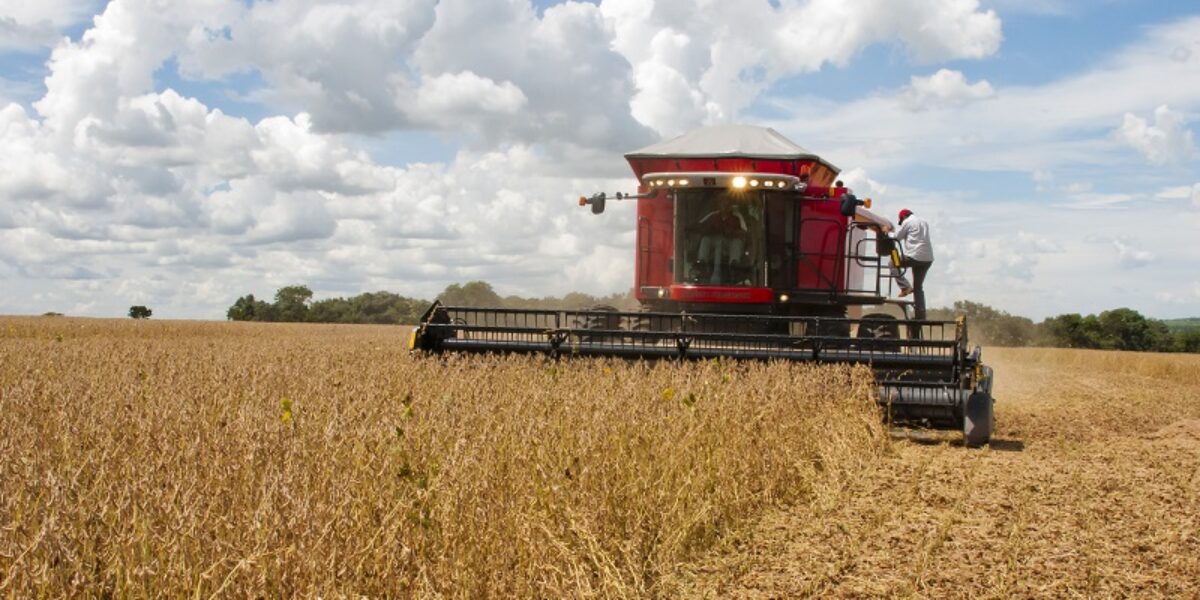 Mapa e Anater lançam nova cartilha com medidas de higiene para o período de colheita
