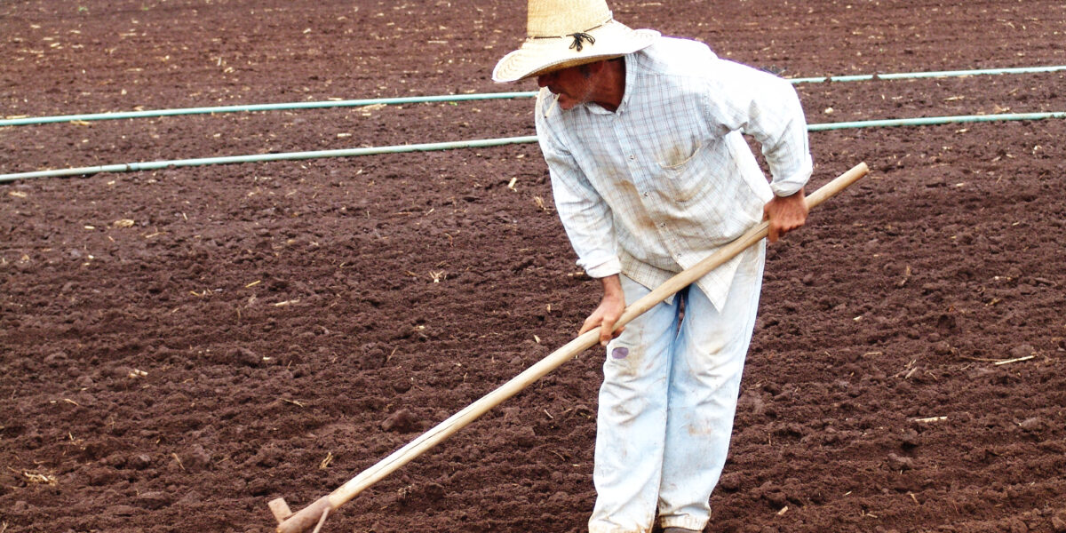 Anater lança cartilha para orientar agricultor familiar sobre medidas de proteção contra coronavírus