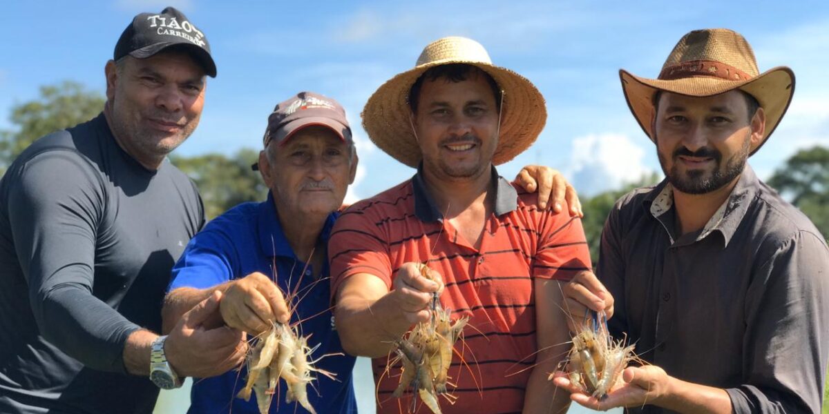 Agro Record mostra família de piscicultores que investiu na produção de camarão com assistência da Emater