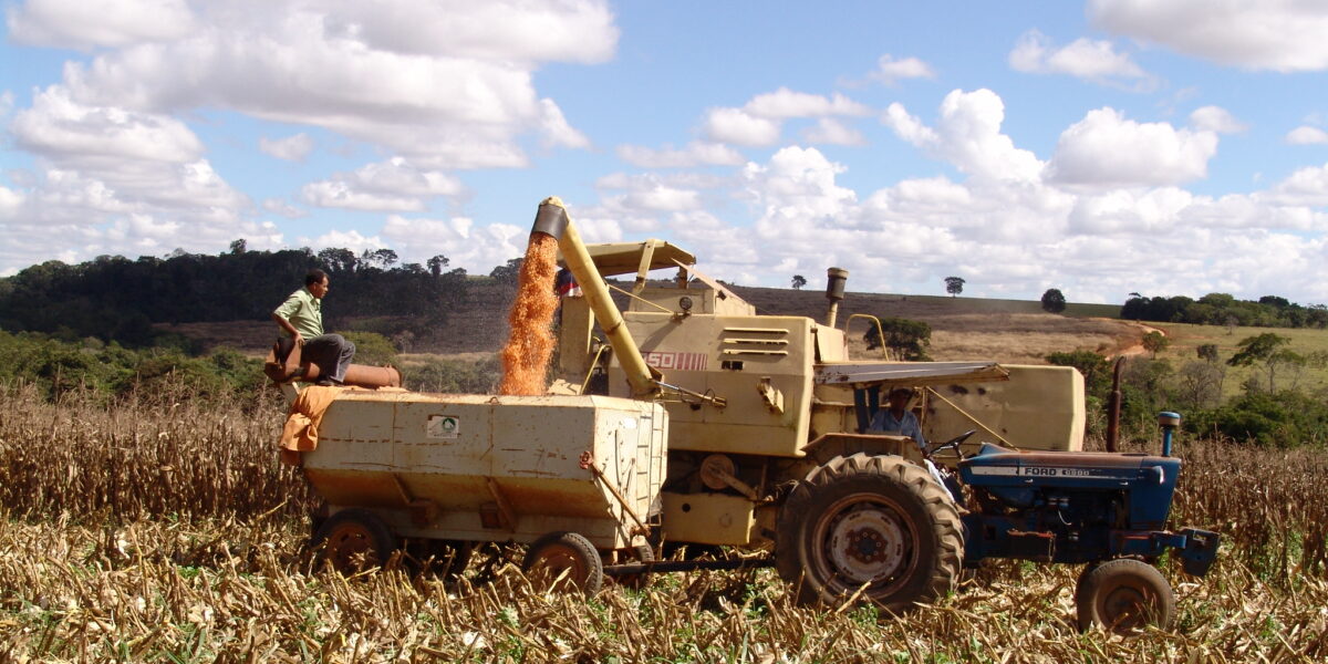 Goiás passa a ser o terceiro maior produtor de grãos do Brasil