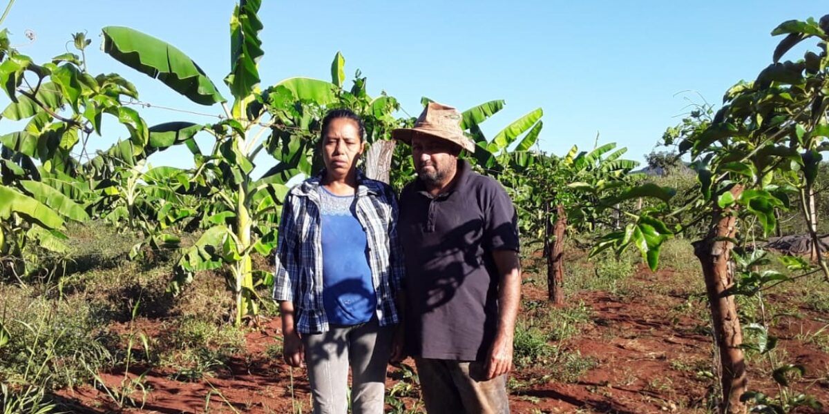 Produtores rurais assistidos pela Emater falam sobre os desafios e a importância do trabalho no campo