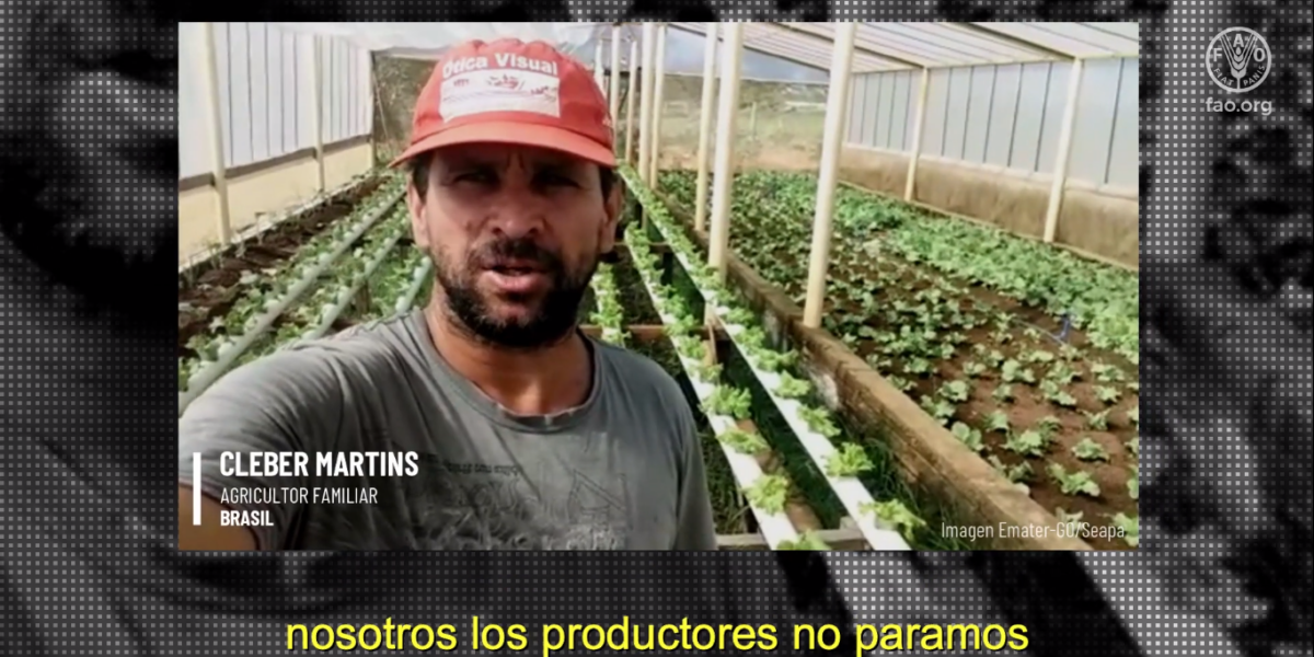Produtores assistidos pela Emater são destaque em campanha da ONU; assista