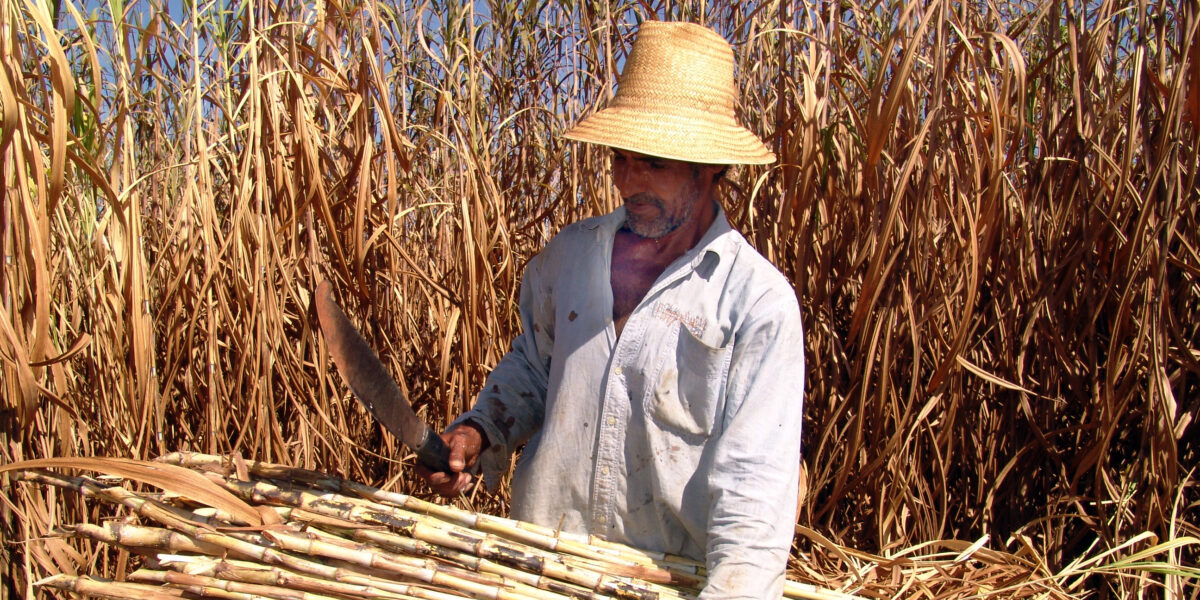 PIB goiano cresce 3,4%, puxado pelo incremento de 18% da agropecuária