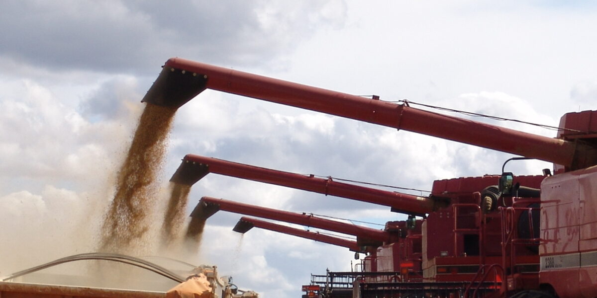 Agropecuária é único setor da economia com crescimento na pandemia, diz IBGE