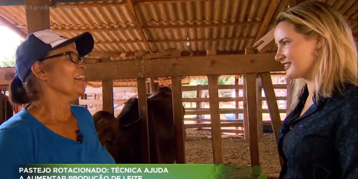 Propriedade goiana tem aumento de 800% na produção de leite após assistência da Emater