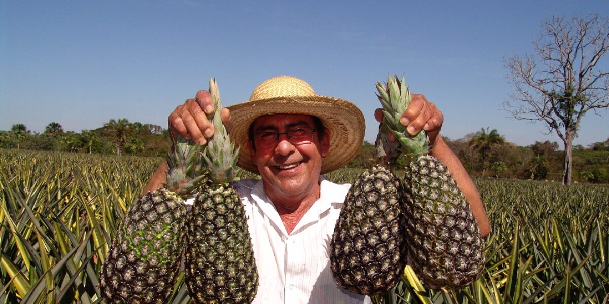 Programa de Aquisição de Alimentos recebe propostas