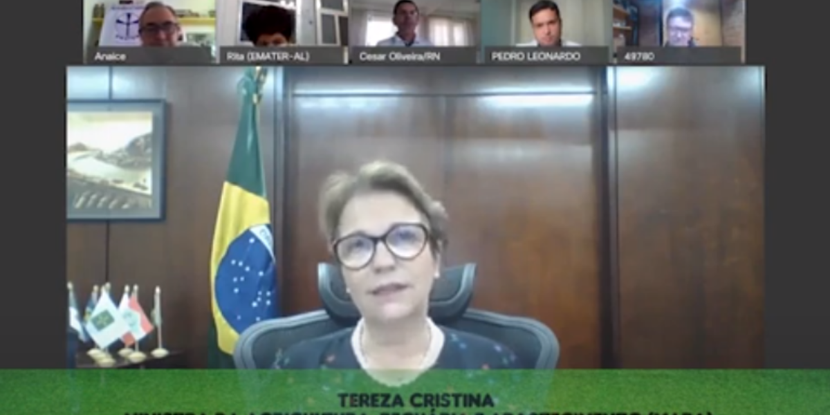 Emater comemora 30 anos da Asbraer em conferência com presença da ministra Tereza Cristina