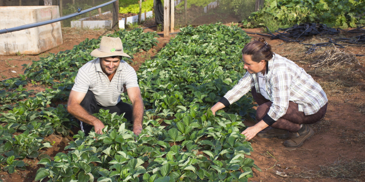 Engenheira agrônoma da Emater fala sobre Semana da Agricultura Familiar para Rádio Verde Vale