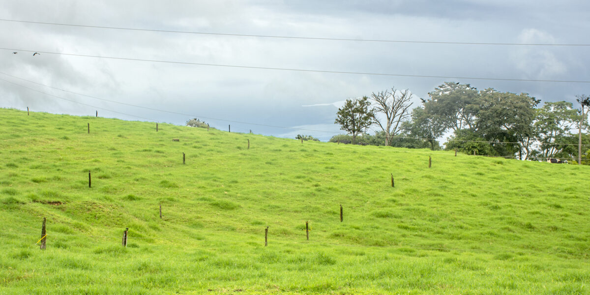 Sistema de fertirrigação desenvolvido pela Emater em propriedade de Abadia de Goiás é destaque na Revista Balde Branco