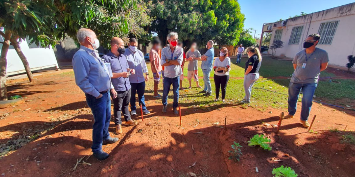 Governo de Goiás, via Emater, oferecerá curso de olericultura para adolescentes que cumprem medidas socioeducativas
