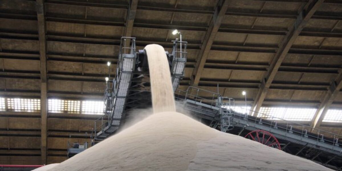 Produção de açúcar em Goiás deve crescer 53,6% na safra 2020/2021