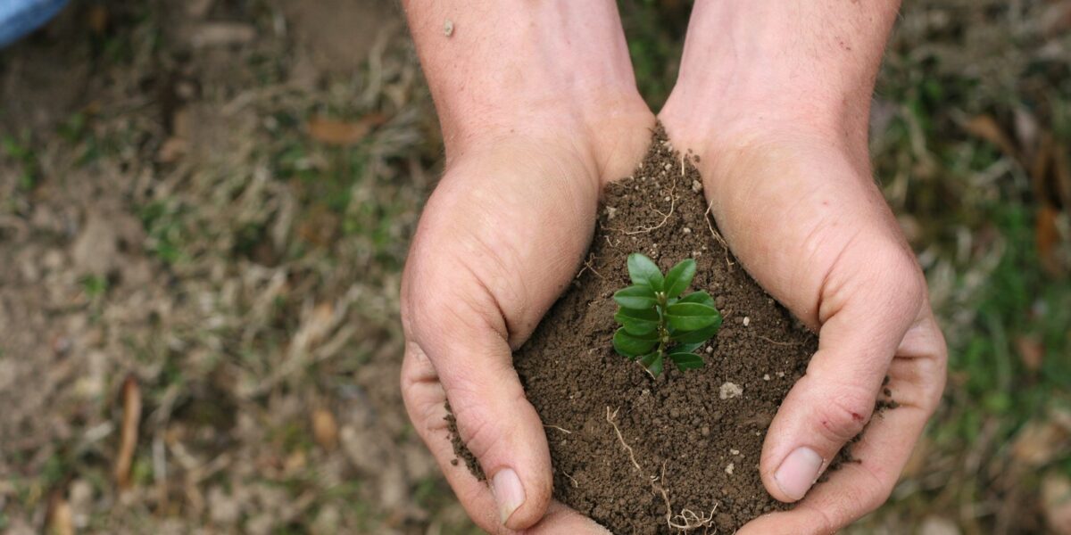 Com apoio da Emater, projeto Virada Ambiental será lançado na próxima terça-feira (11)