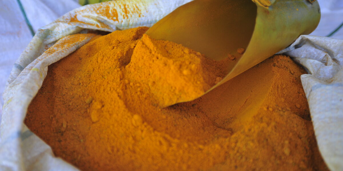 Gestora ambiental da Emater fala sobre indicação geográfica do açafrão de Mara Rosa na Rádio CBN