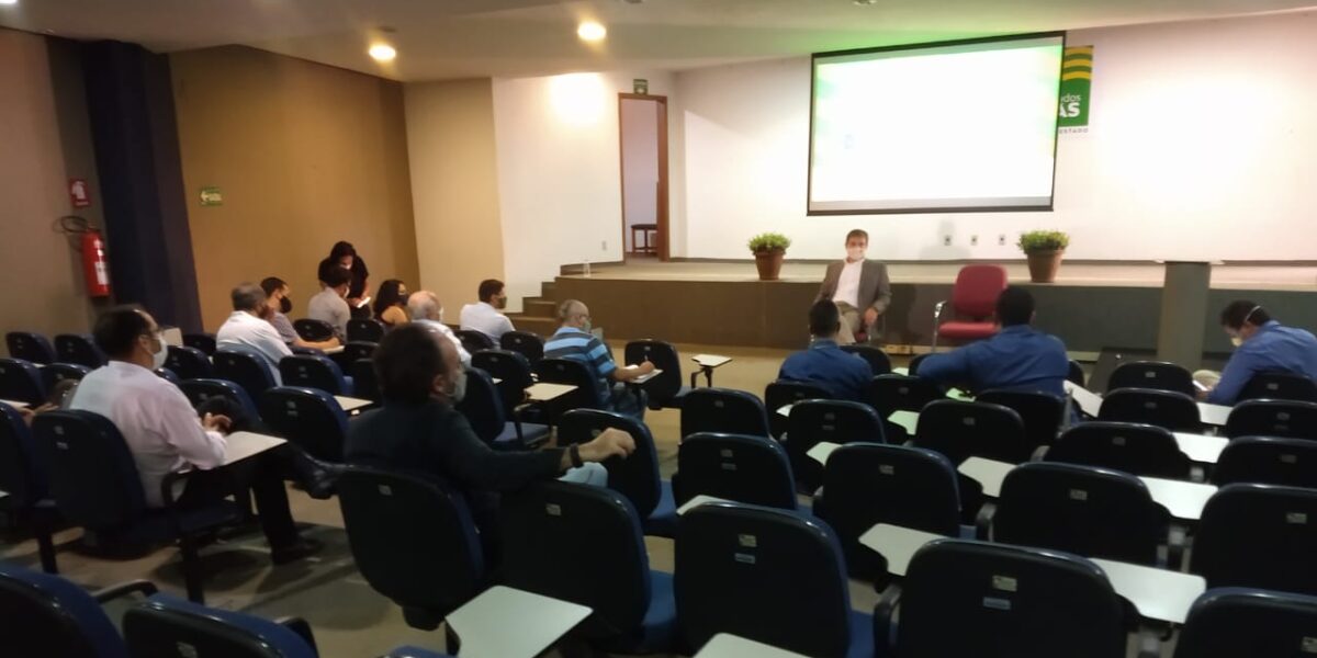 Seapa articula ampliação da produção de queijos artesanais para gerar oportunidades na retomada econômica de Goiás
