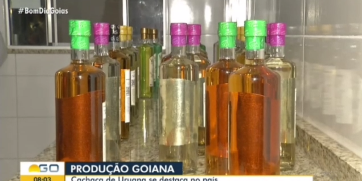 Produtor de cachaça assistido pela Emater em Uruana é destaque no Jornal Bom Dia Goiás