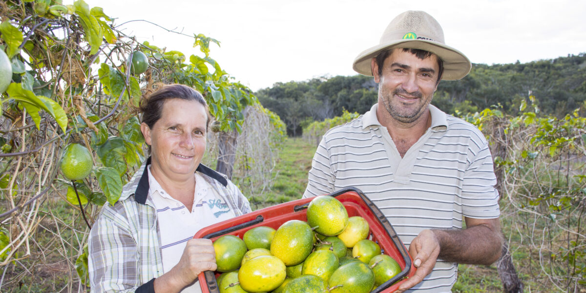 Programa de Aquisição de Alimentos Estadual é ampliado para mais 25 municípios