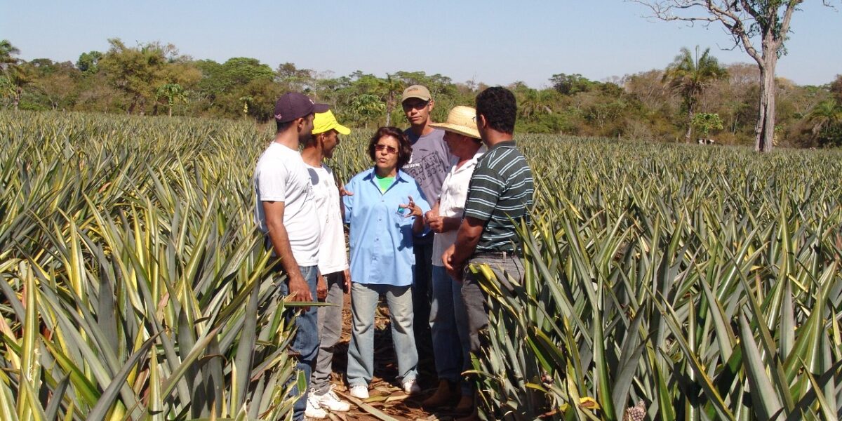 Governos federal e estadual entregam mais de 3 mil títulos de propriedade rural, em Flores de Goiás