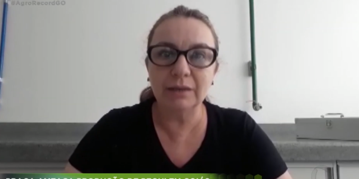 Pesquisadora da Emater explica como broca-do-tronco está atacando pequizeiros em Goiás