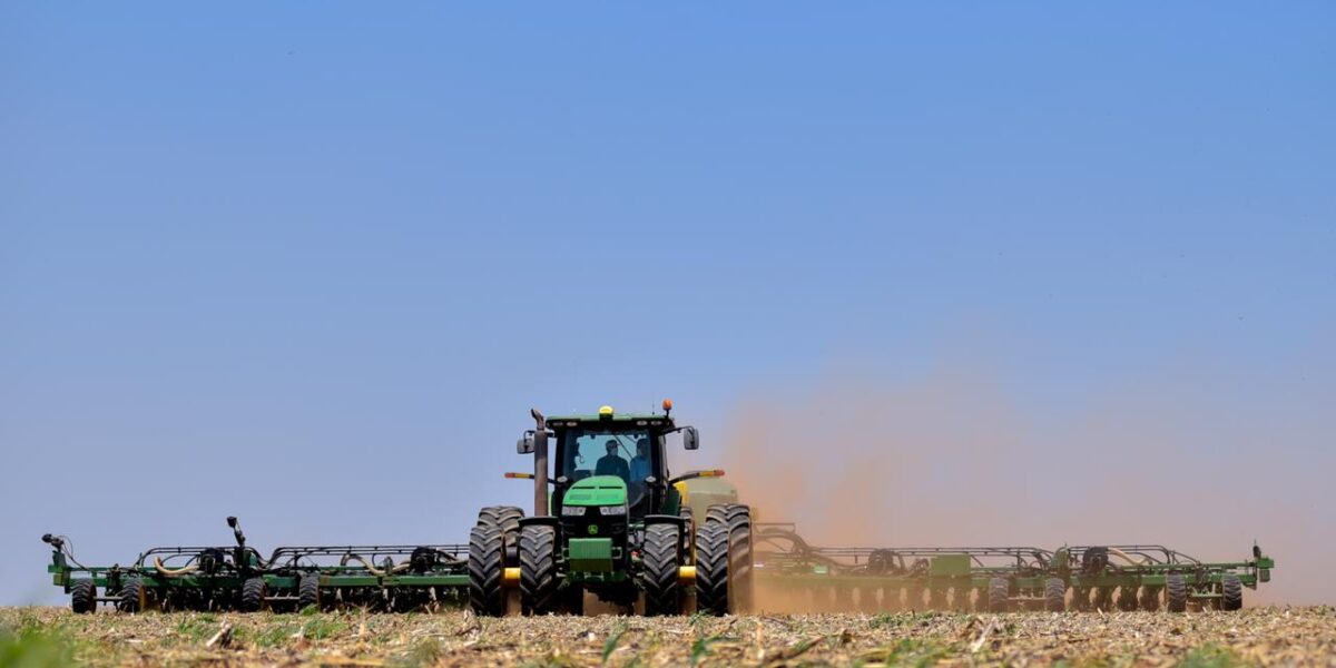 Calendário de semeadura da soja na safra de verão termina nesta quinta-feira (31)