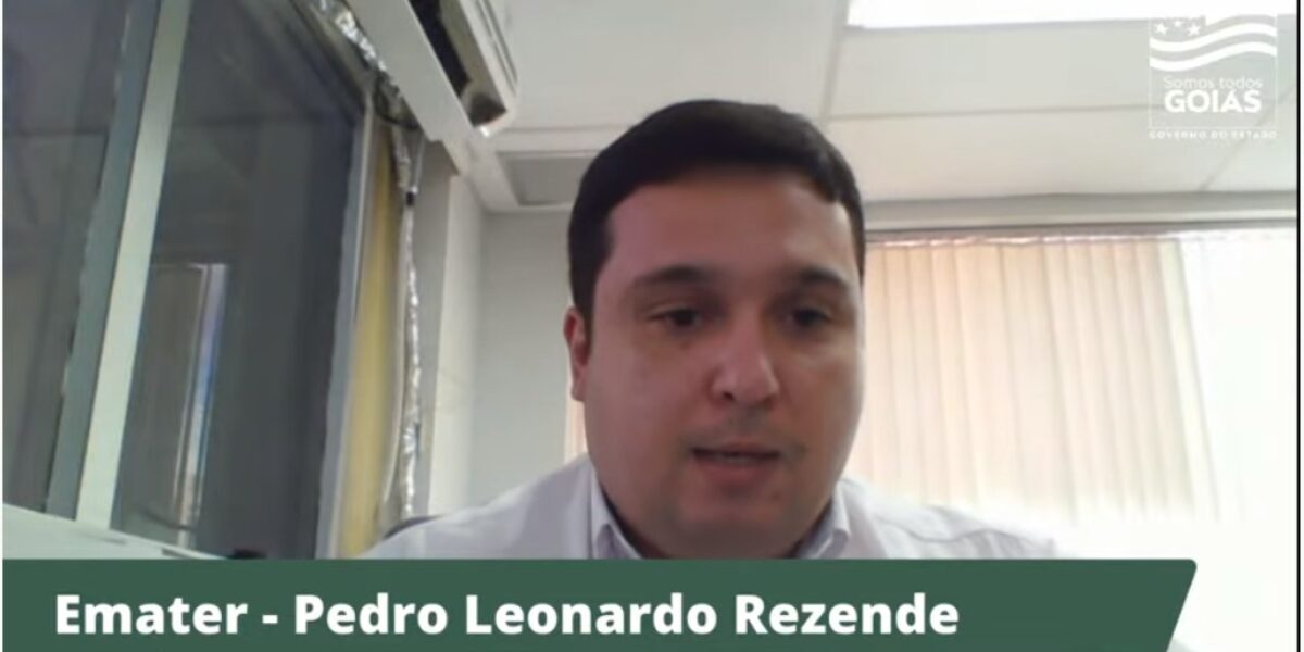 Governo de Goiás e Ambev anunciam ampliação do projeto Cerveja de Mandioca