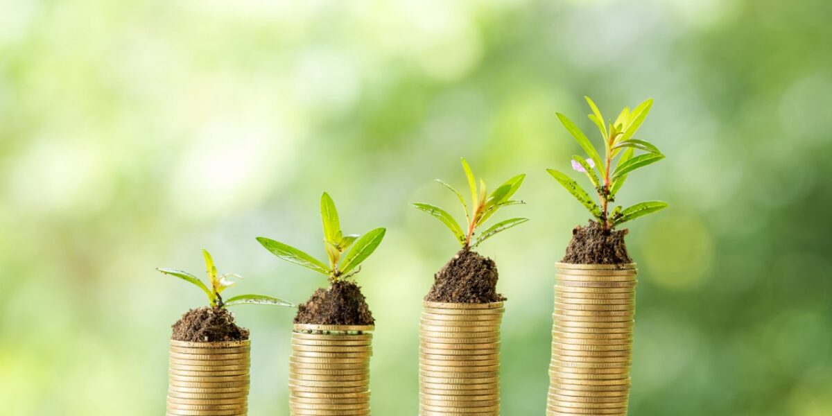 Emater contribuiu para aporte de mais de R$ 150 milhões na economia goiana em 2020