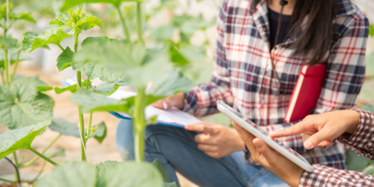 Convênio com UFG abre turmas especiais de pós-graduação a servidores da Emater