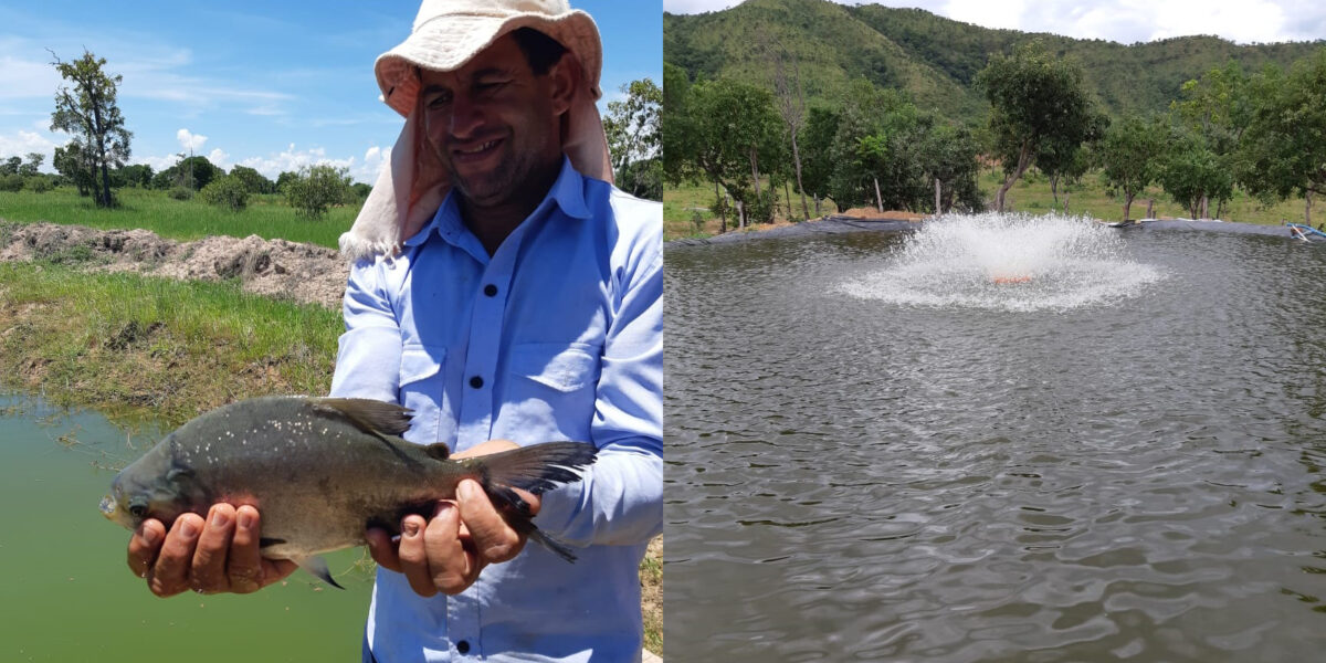Com apoio da Emater, assentamento rural em Vila Boa supera escassez de água e aumenta produção de peixes