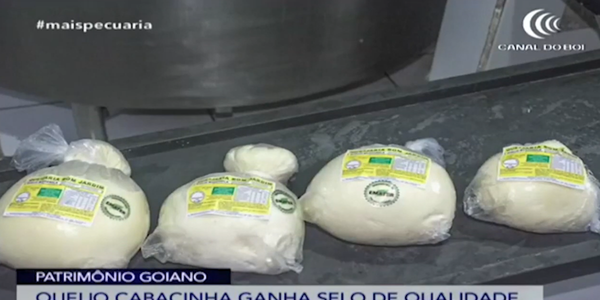 Canal do Boi destaca trabalho do Governo de Goiás pelo registro de Indicação Geográfica do Queijo Cabacinha