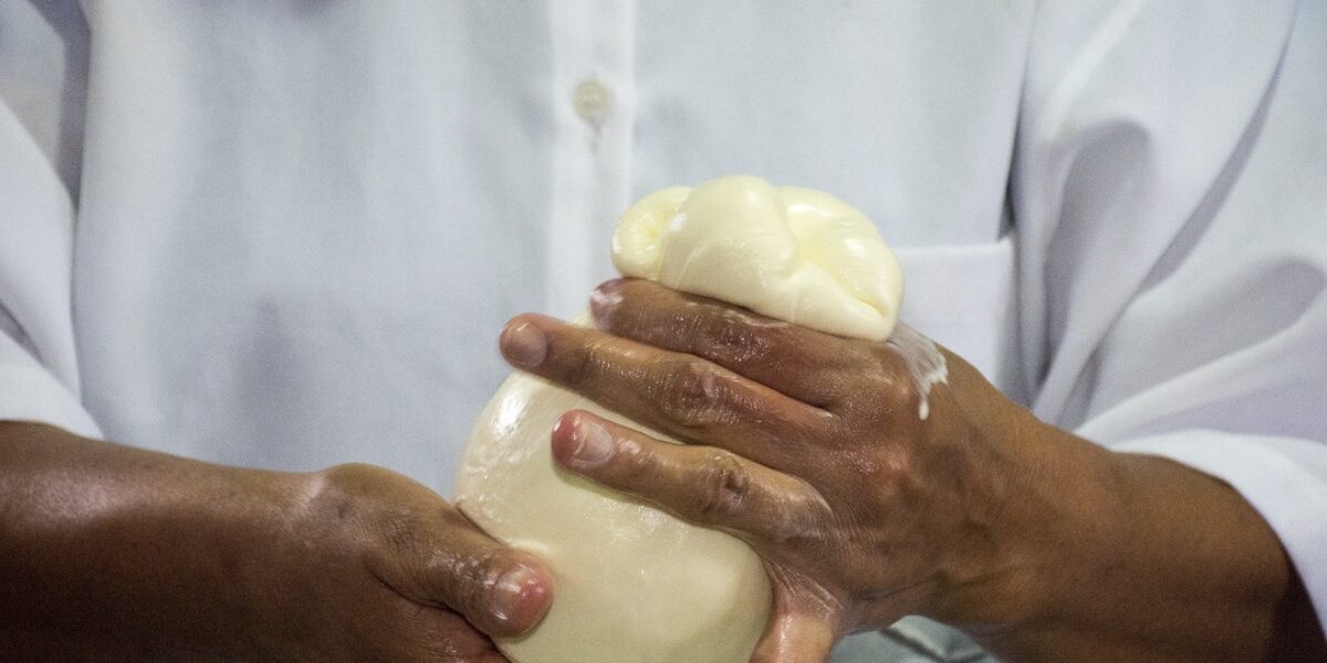 Diário da Manhã destaca trabalho da Emater pela conquista do selo de Indicação Geográfica do Queijo Cabacinha