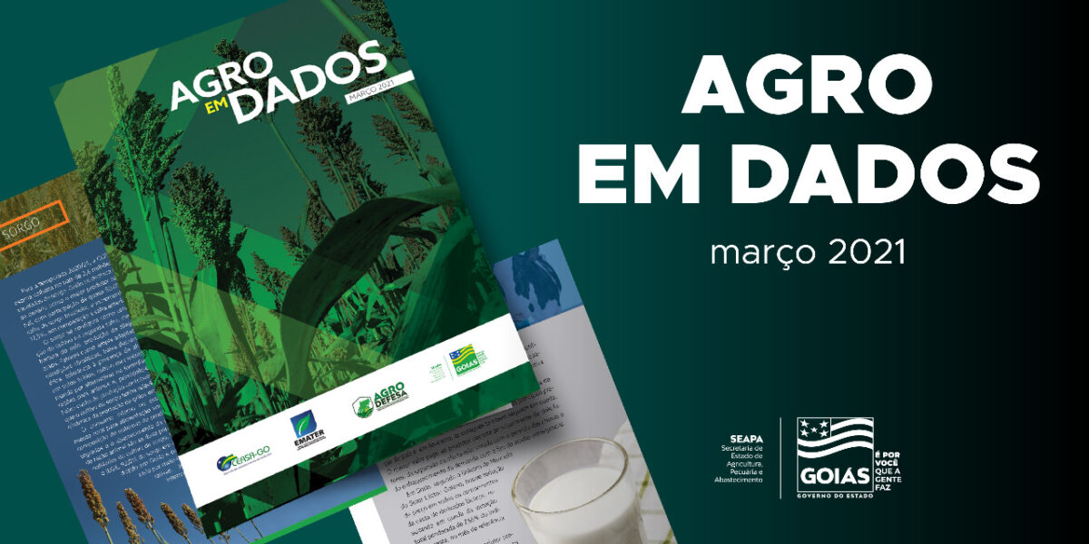 Goiás conta com 39 unidades multiplicadoras de BRS Capiaçu instaladas pela Emater, aponta Agro em Dados
