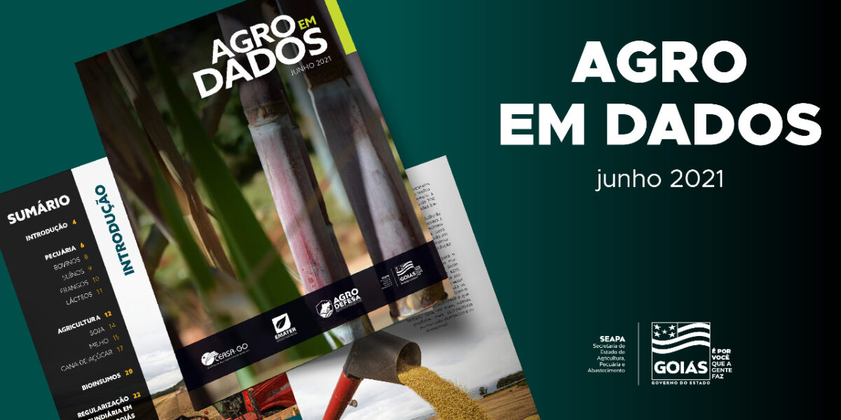 Estimativa da produção de cana-de-açúcar em Goiás é destaque no boletim Agro em Dados de junho