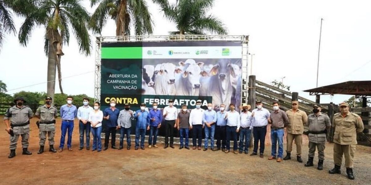 Governo do Estado inicia primeira etapa de vacinação contra febre aftosa