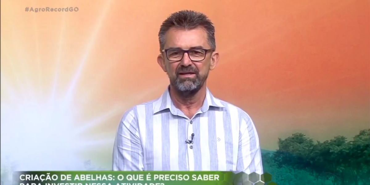 Diretor de Assistência Técnica da Emater dá dicas para quem quer investir em apicultura