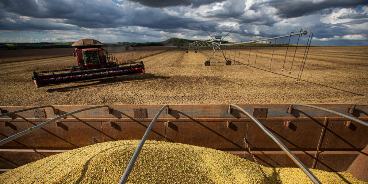 Participação do agronegócio nas exportações goianas corresponde a 80,6% do total do mês de maio