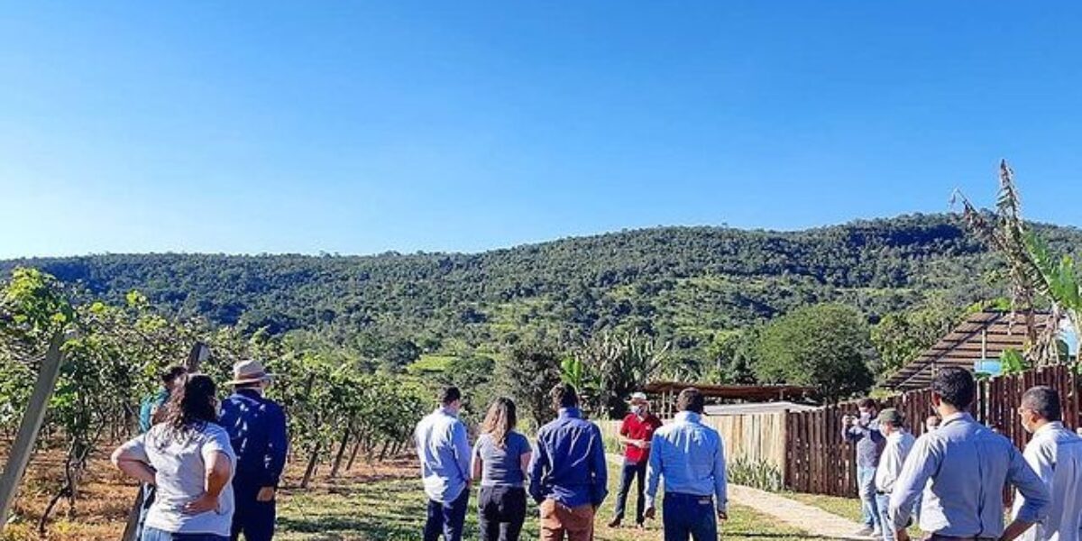 Agro atua para fomentar turismo em Goiás