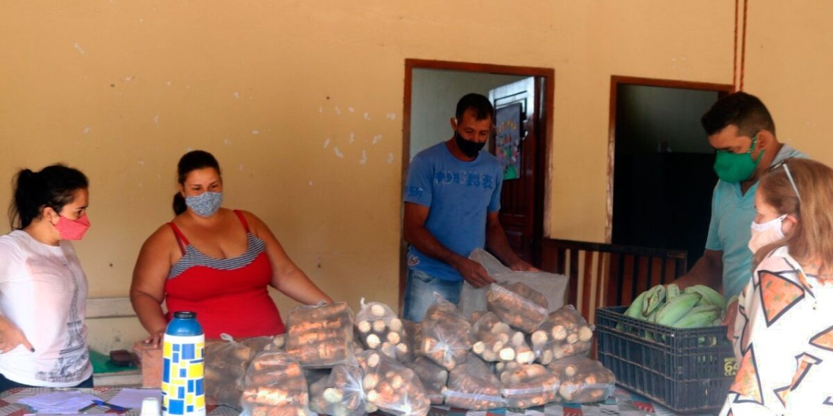 Beneficiados pelo PAA Estadual contam como programa impactou suas vidas