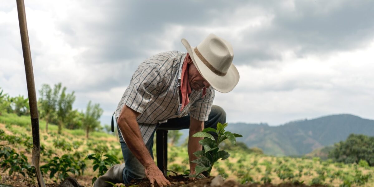 Emater facilitou investimento de R$ 60 milhões na agricultura familiar goiana por meio de Crédito Rural