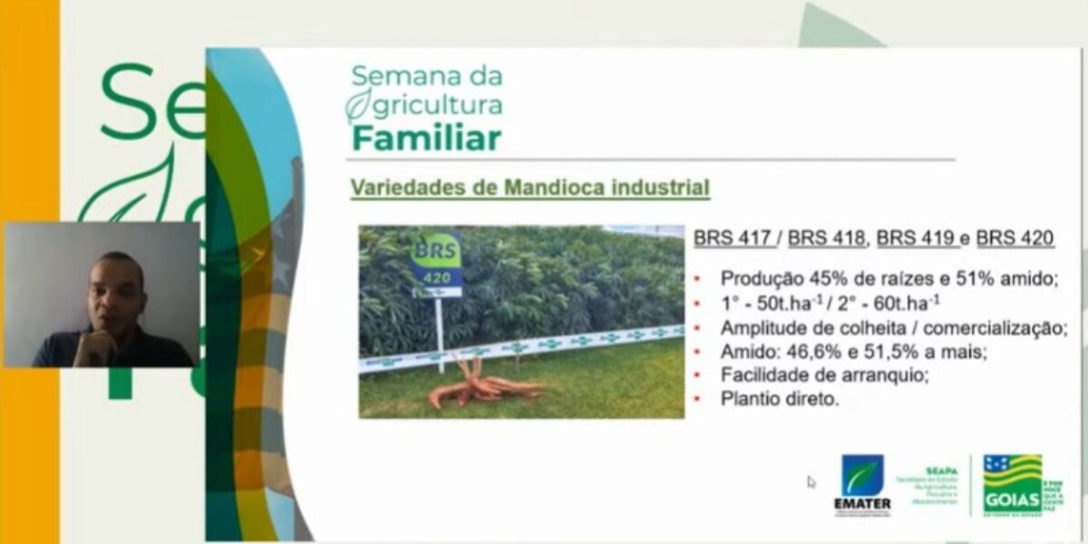 Mandioca como fonte de renda e utilização de bioinsumos marcam terceiro dia da Semana da Agricultura Familiar