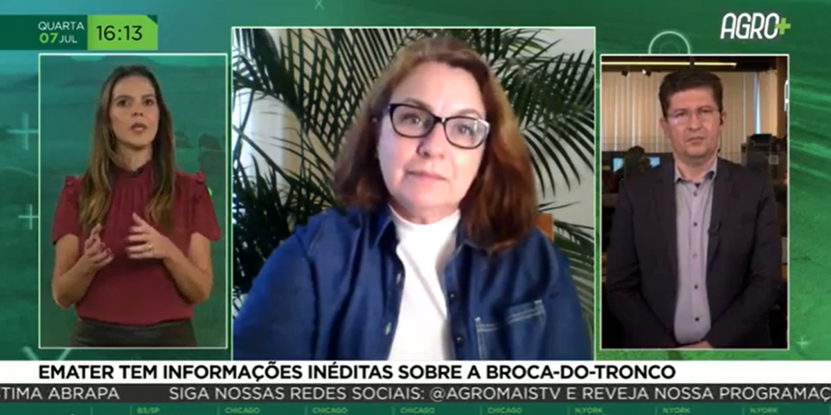 AgroMais repercute informações inéditas sobre broca-do-tronco do pequizeiro