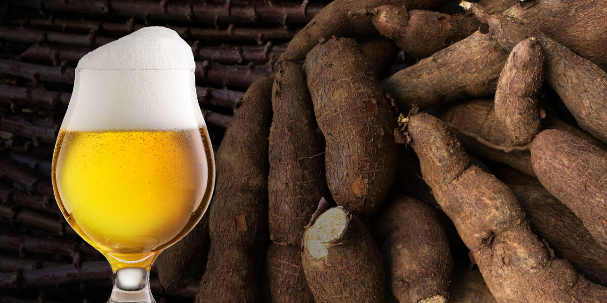 No Dia Internacional da Cerveja, Goiás comemora resultados alcançados com o projeto que estimula a produção da bebida a partir da mandioca
