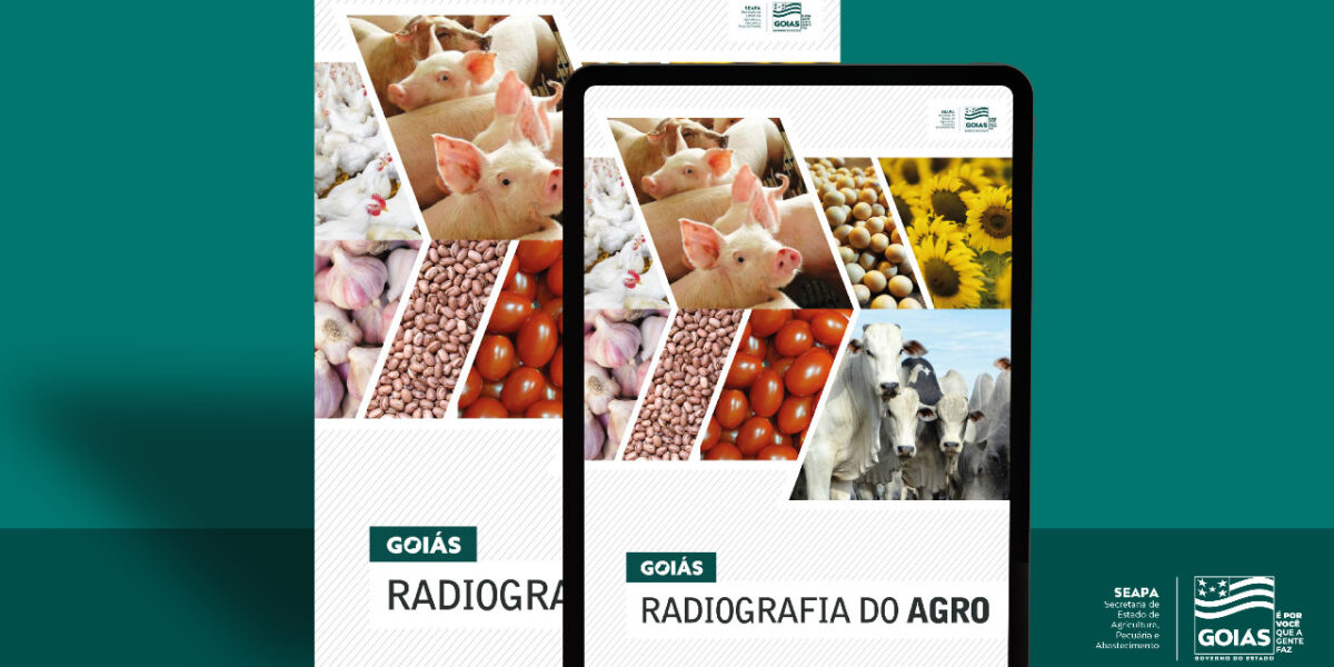 Radiografia do Agro mostra diversidade da produção agropecuária goiana e revela oportunidades na fruticultura