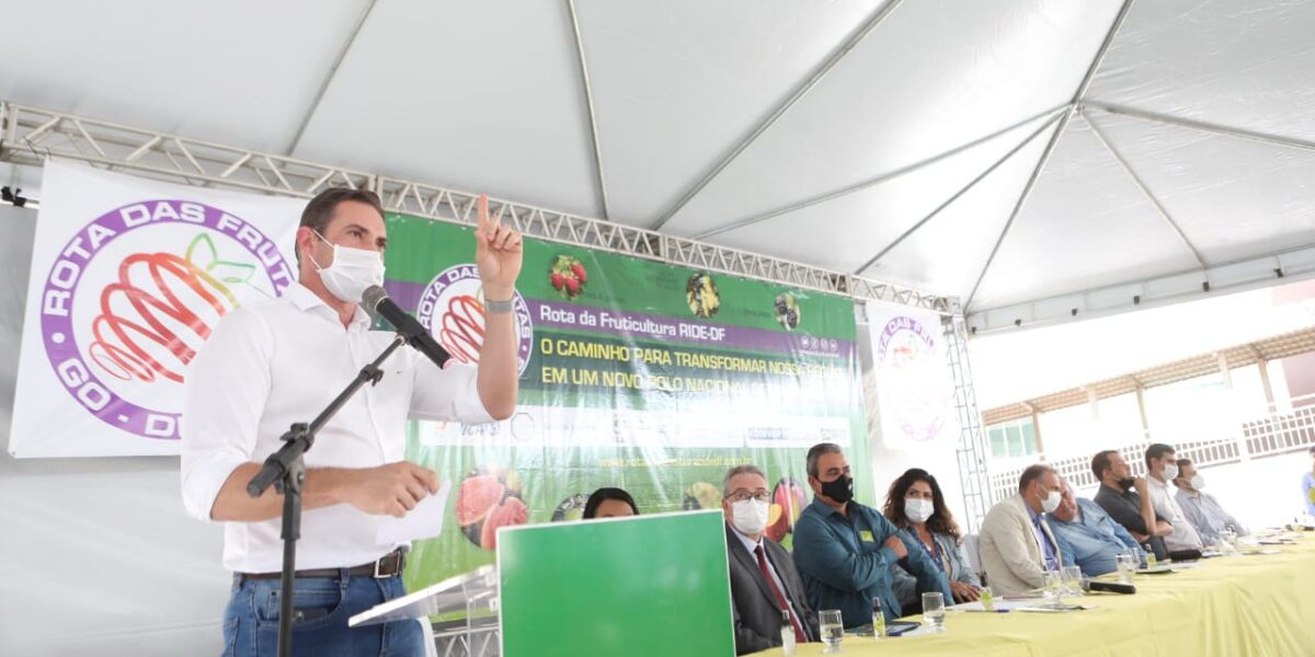 Em Goianésia, representantes da Seapa participam de reunião de mobilização da Rota da Fruticultura da Ride/DF