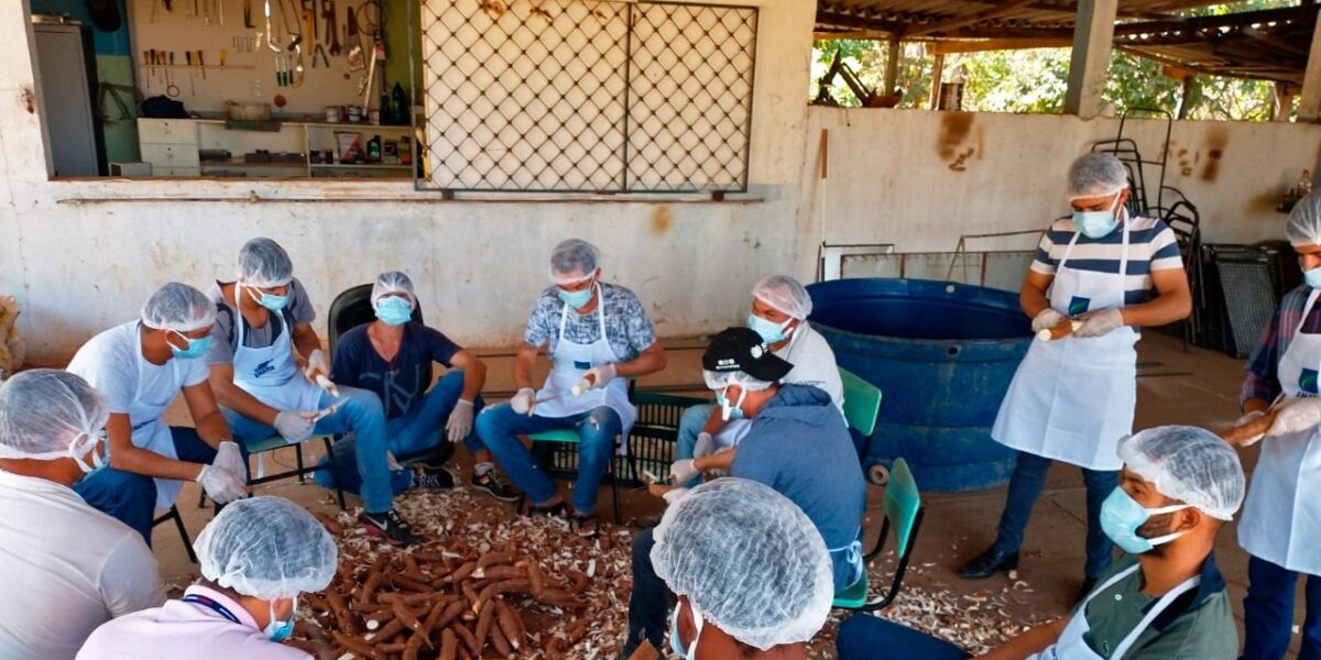Emater realiza curso de processamento de mandioca para dependentes químicos em São Luís de Montes Belos