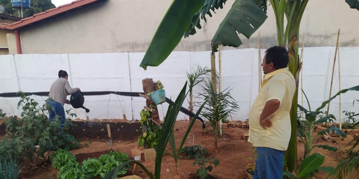 Goiás Social beneficia agricultores familiares do Estado