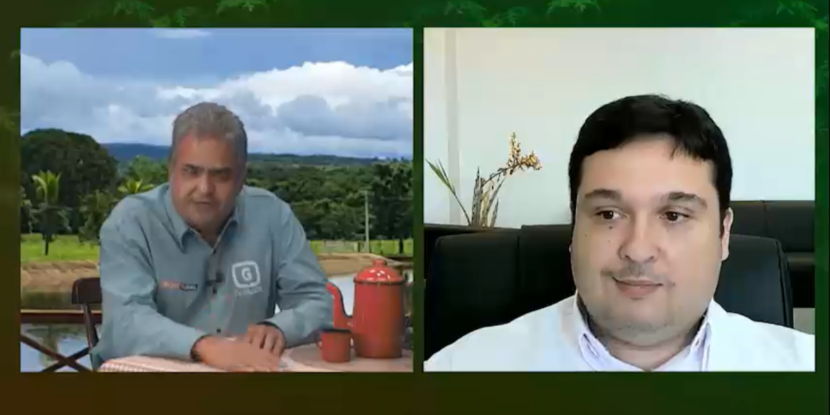 Presidente da Emater explica como Goiás Social beneficia agricultores familiares