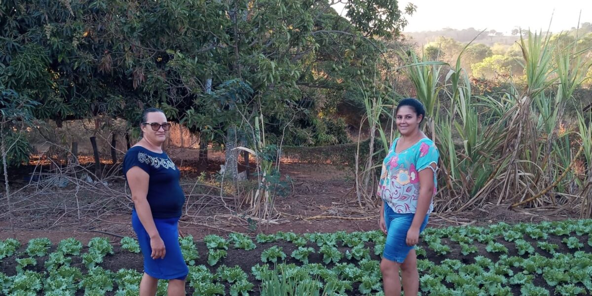 Agricultores familiares melhoram estrutura das propriedades com fomento produtivo do Agro é Social