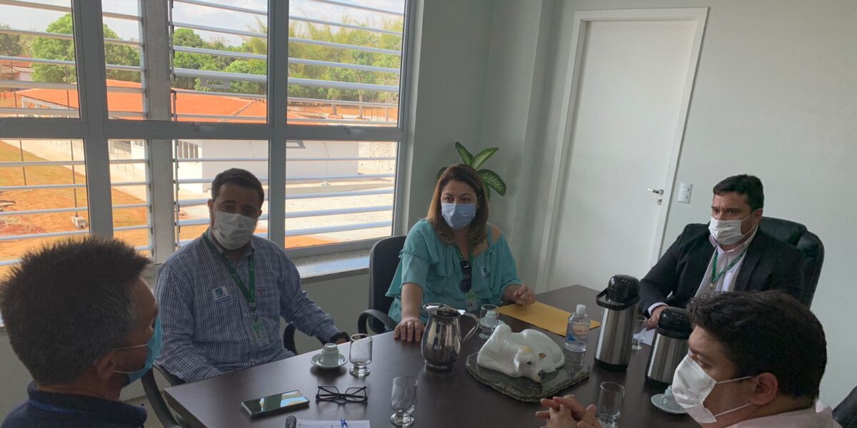 Representantes da Emater e Conab se reúnem para articular rede de informações sobre agropecuária goiana